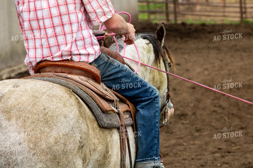 Rancher Roping Cattle 214170