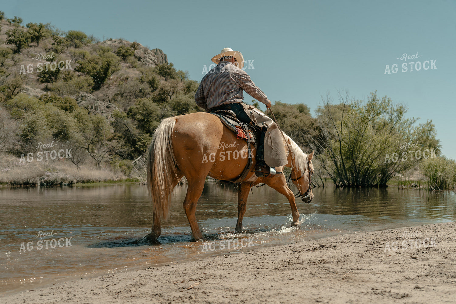 Rancher on Horseback 58265