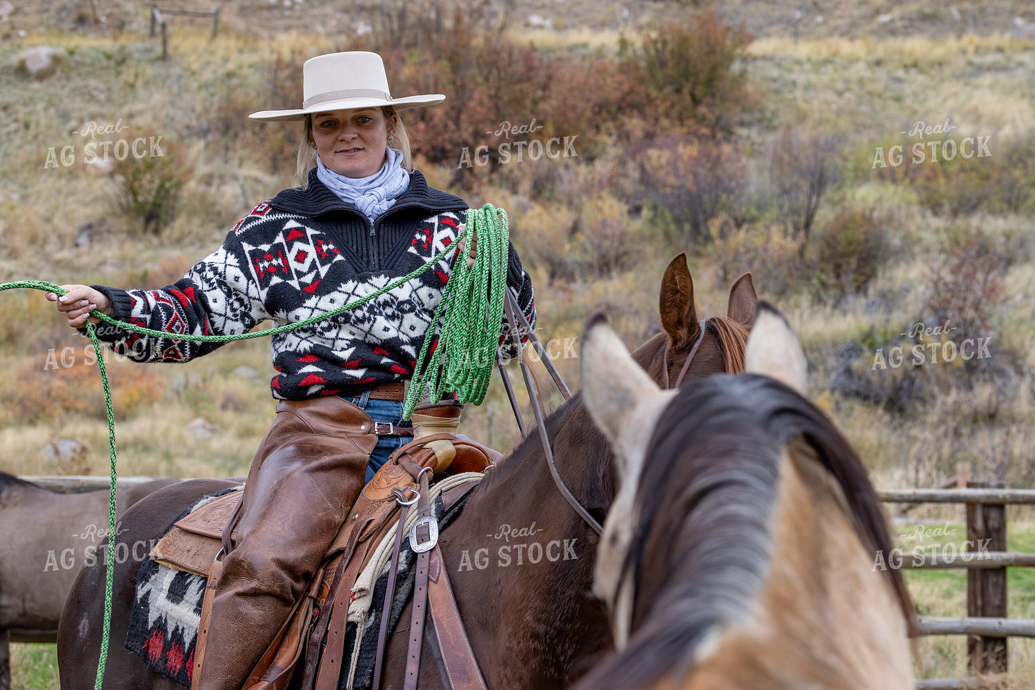 Cowgirl on Horseback 290028