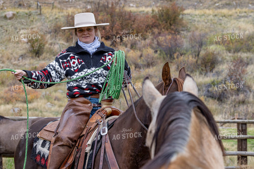 Cowgirl on Horseback 290028