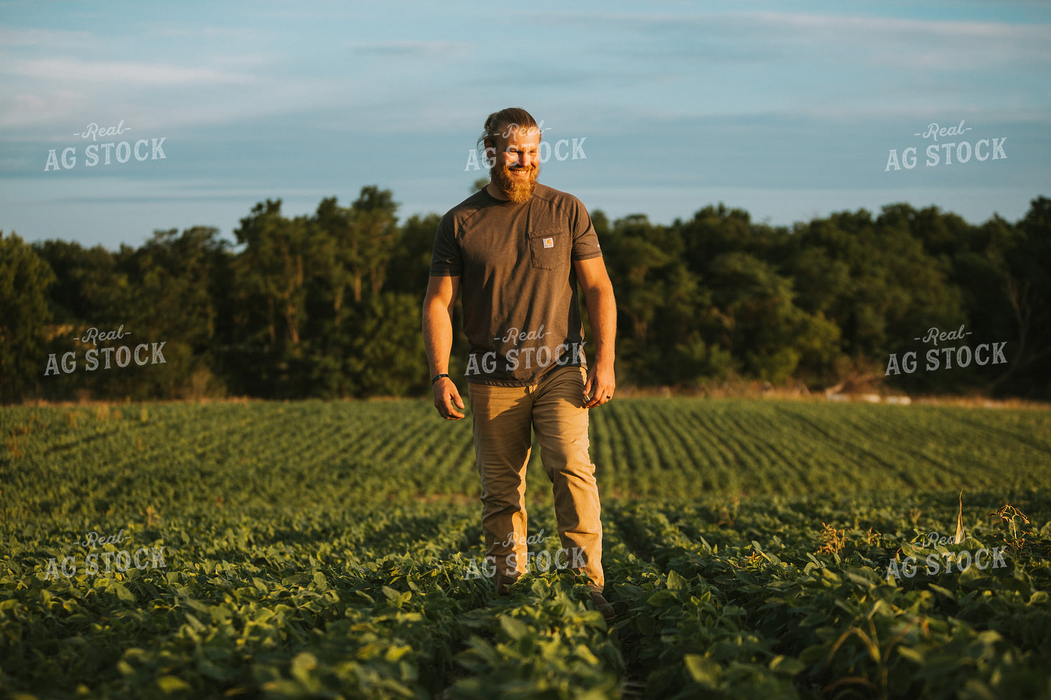 Farmer in Soybean Field 6016