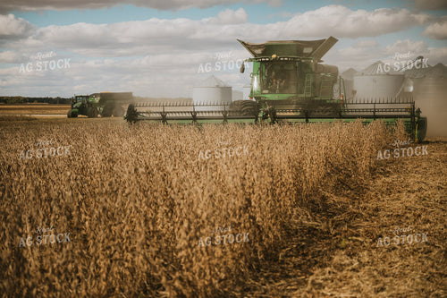 Soybean Harvest 6887