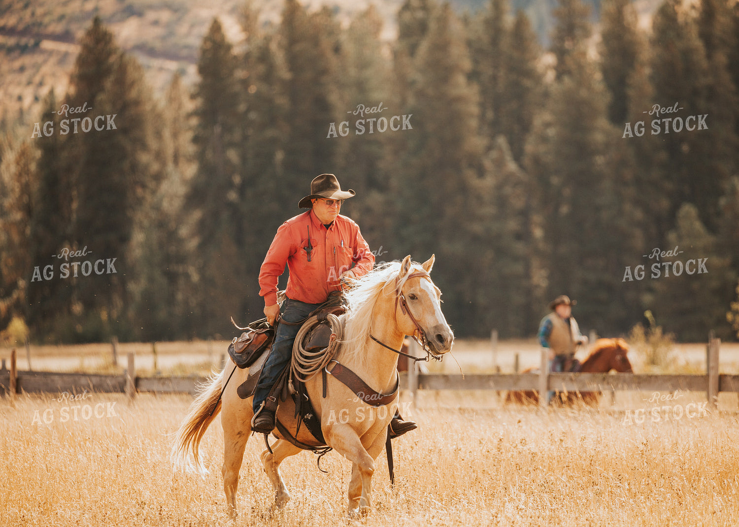 Ranchers in Pasture 66101