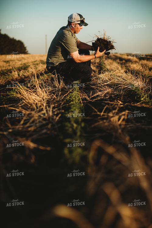 Farmer Agronomist with Soil in Soybean and Rye Cover Crop Field 5888