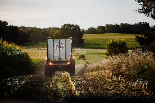 Corn Silage Harvest 272003