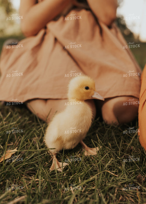 Duckling 61239