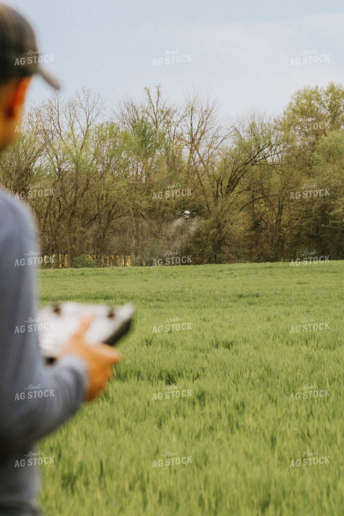 Drone Spraying Wheat Field with Farmer Flying in Foreground 101046