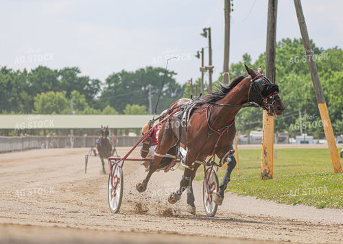 Horse Racing 160251