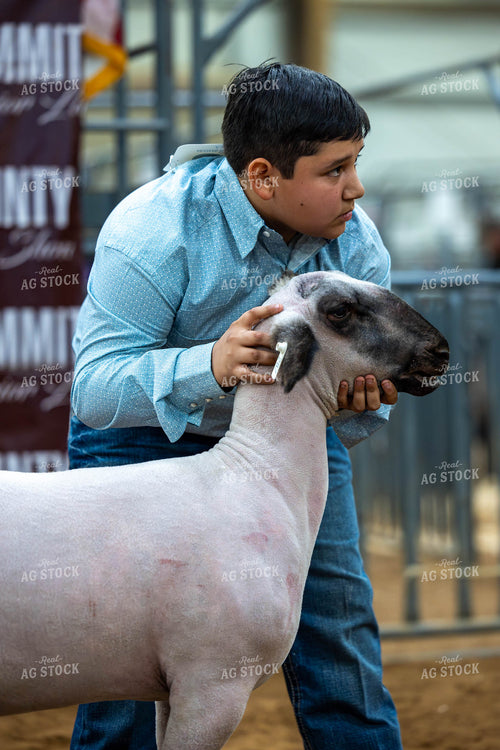 Showing Goats  98052