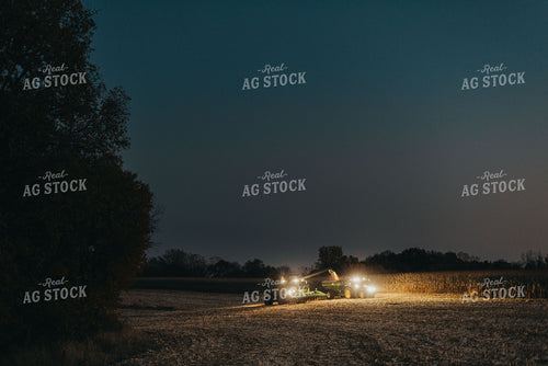 Corn Harvest 9506