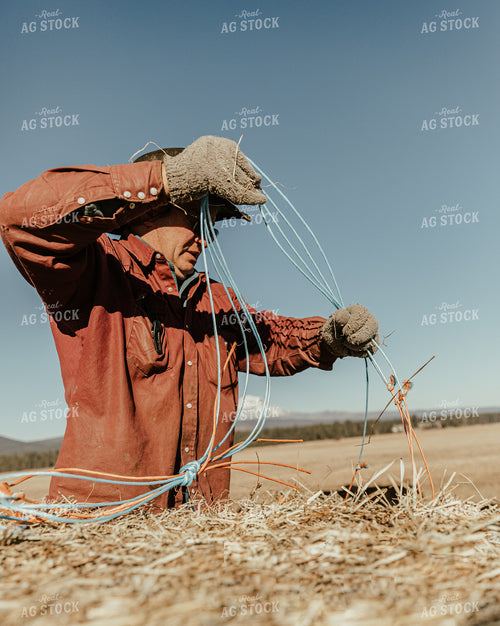 Rancher Removing Twine From Hay Bale 66011