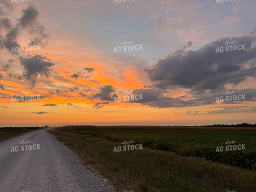 Scenic Summer Landscape 228031