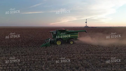 Cutting Sorghum 190028
