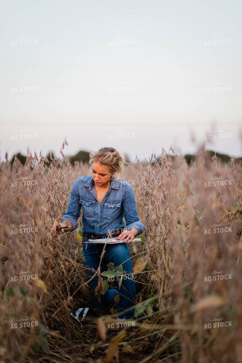 Female Agronomist Checking Beans 8359