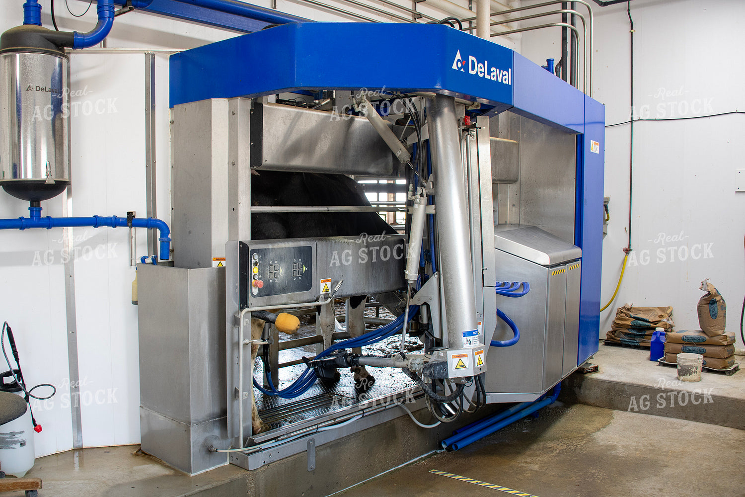Robotic Milking Unit in Action 271032
