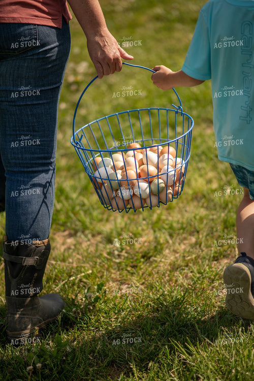 Gathering Eggs 76608