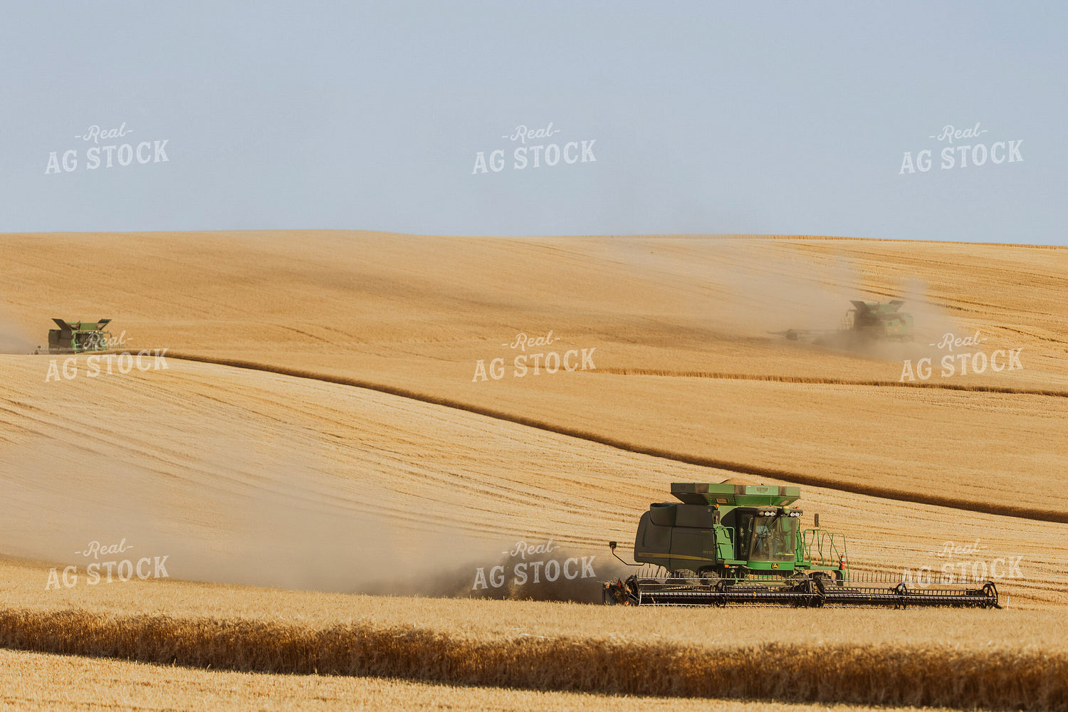 Wheat Harvest 187288