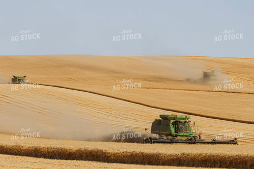 Wheat Harvest 187288