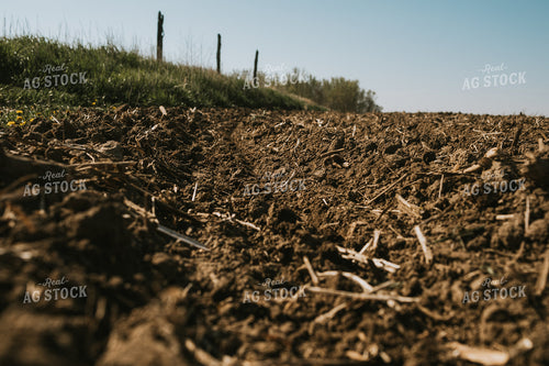 Freshly Planted End Rows 3999