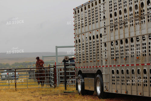 Rancher on Horse with Livestock Trailer 63043