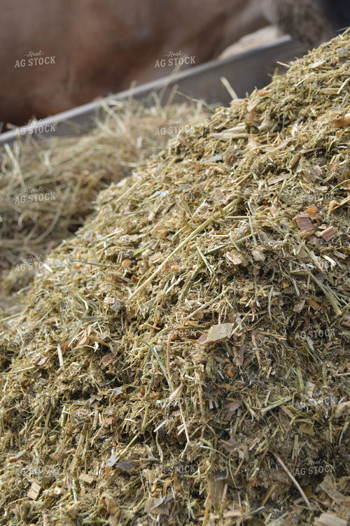 Total Mixed Ration 206009