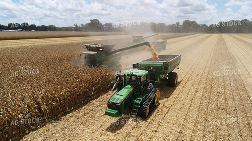 Corn Harvest 80032