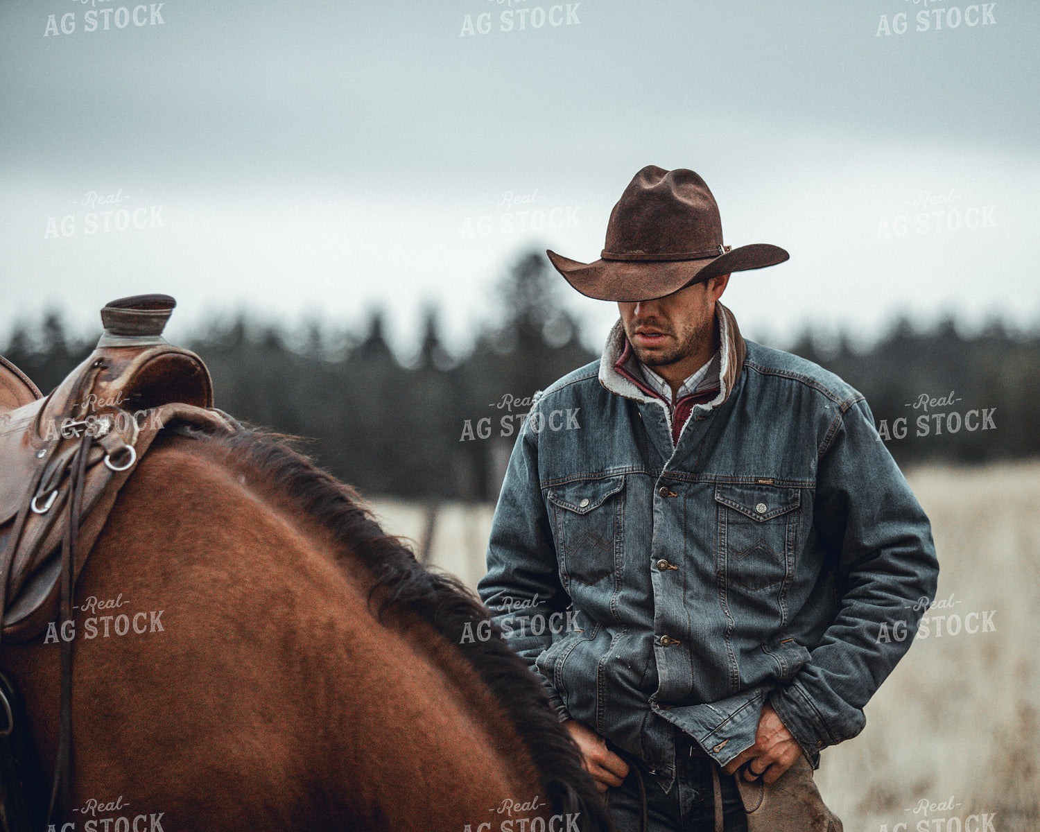Rancher on Horseback 188120
