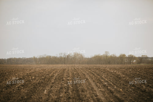 Just Planted Soil in Field 5467