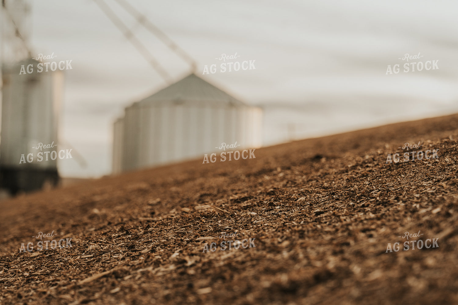 Uncovered Silage Pile 61271