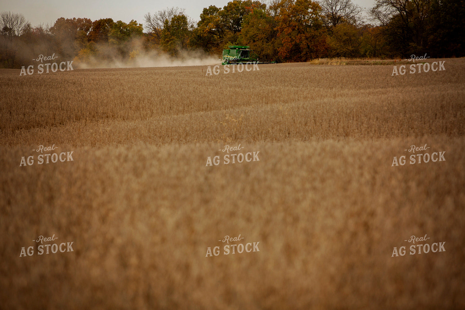 Harvest 2615