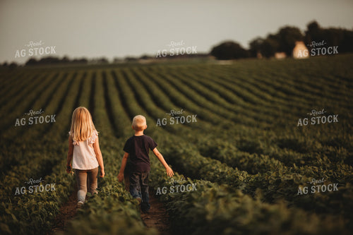 Farm Kids in Soybean Field 4566