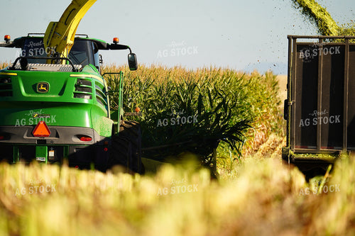 Harvesting Corn Silage 293001
