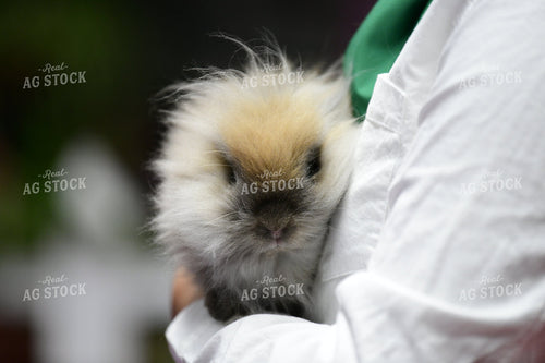 Rabbit and Cavy Showing 107008