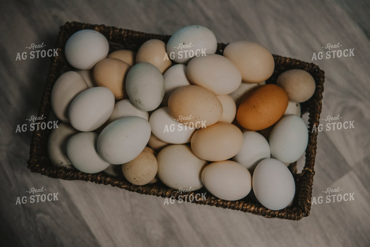 Eggs in Assorted Colors in a Basket on the Counter 135005