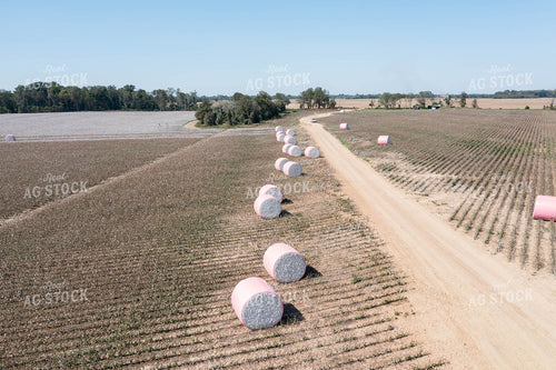 Cotton Bales 79399