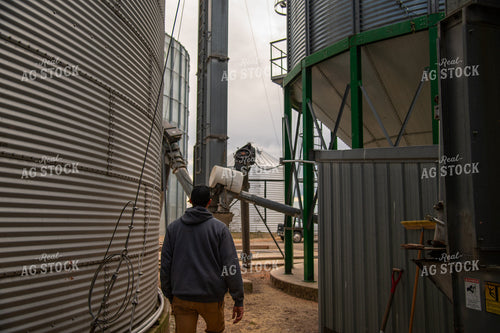Farmer Walking Amongst Bins 25546