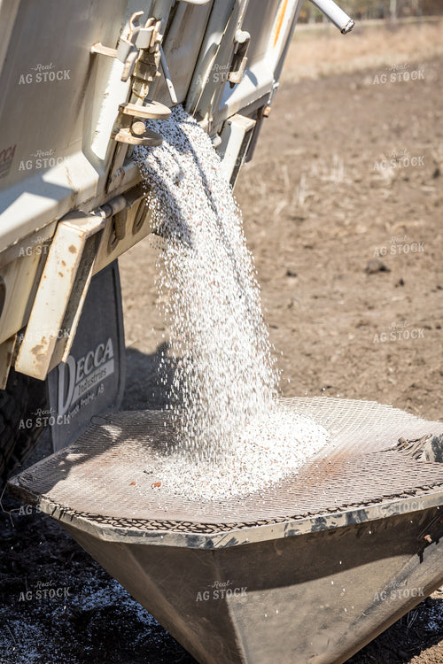 Applying Fertilizer 138146