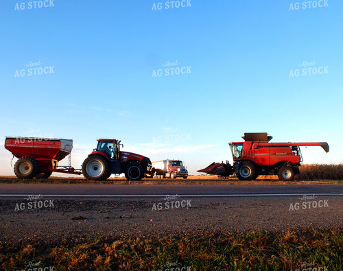 Corn Harvest 154039