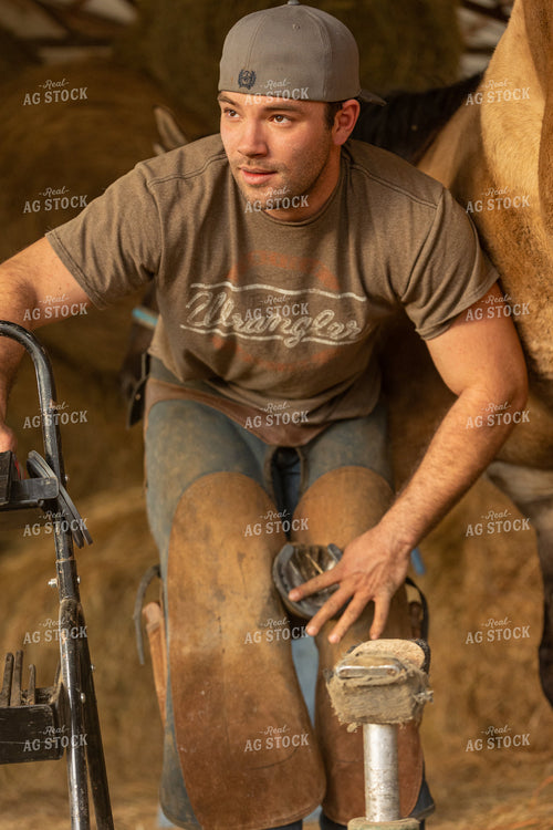 Farrier Shoeing Horses 52434