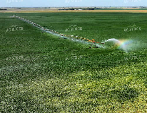 Aerial of Center Pivot Irrigation System 141749