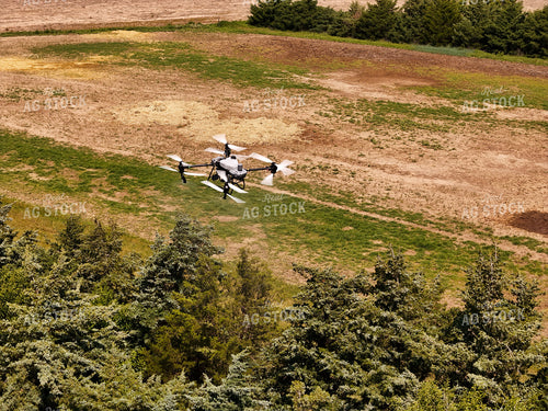 Drone Sprayer Spraying Bag Worms in Evergreens  239266