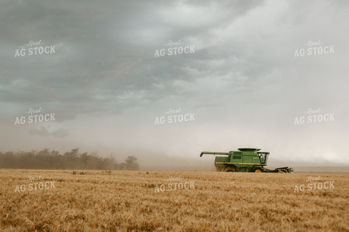 Combining Wheat 64085