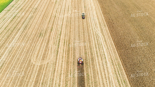 Corn Harvest 191274