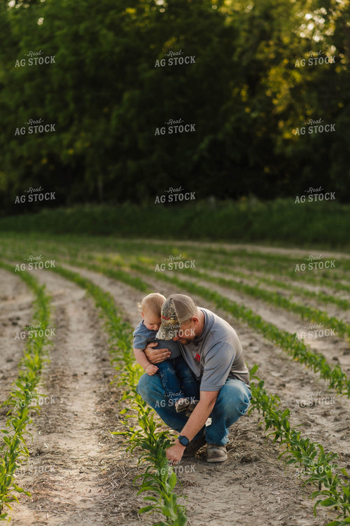 Father & Son Checking Early Growth Corn Field 115062