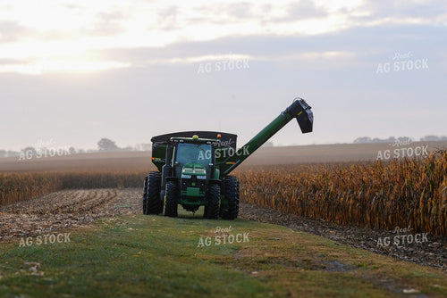 Corn Harvest 151017