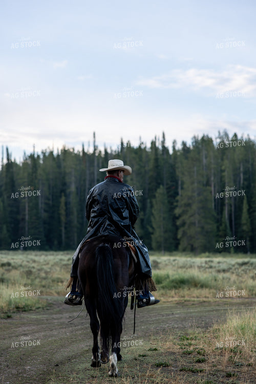 Cowboy on Horseback 304095