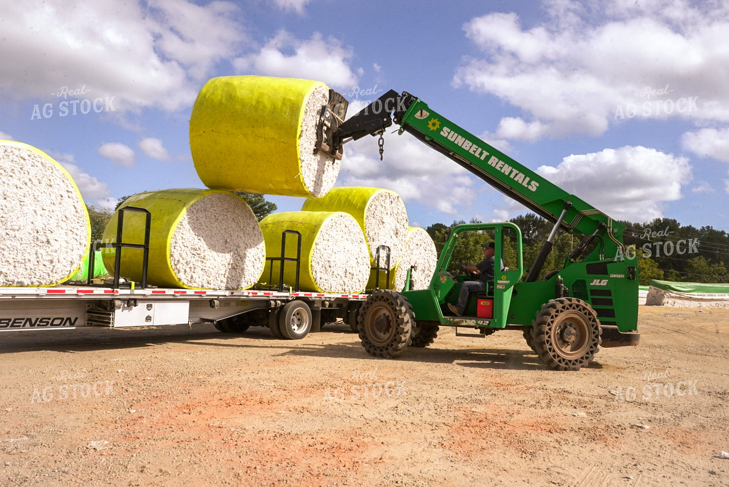 Loading Cotton Bales 128112