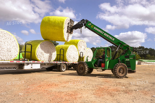 Loading Cotton Bales 128112