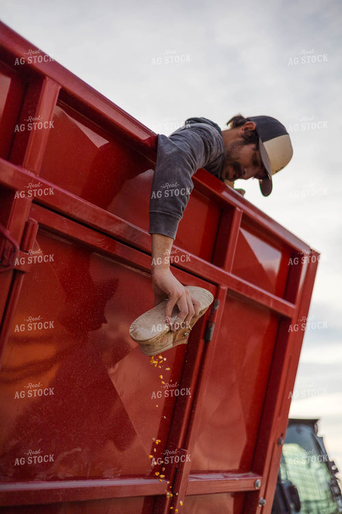 Emptying Corn From Shoe 97244