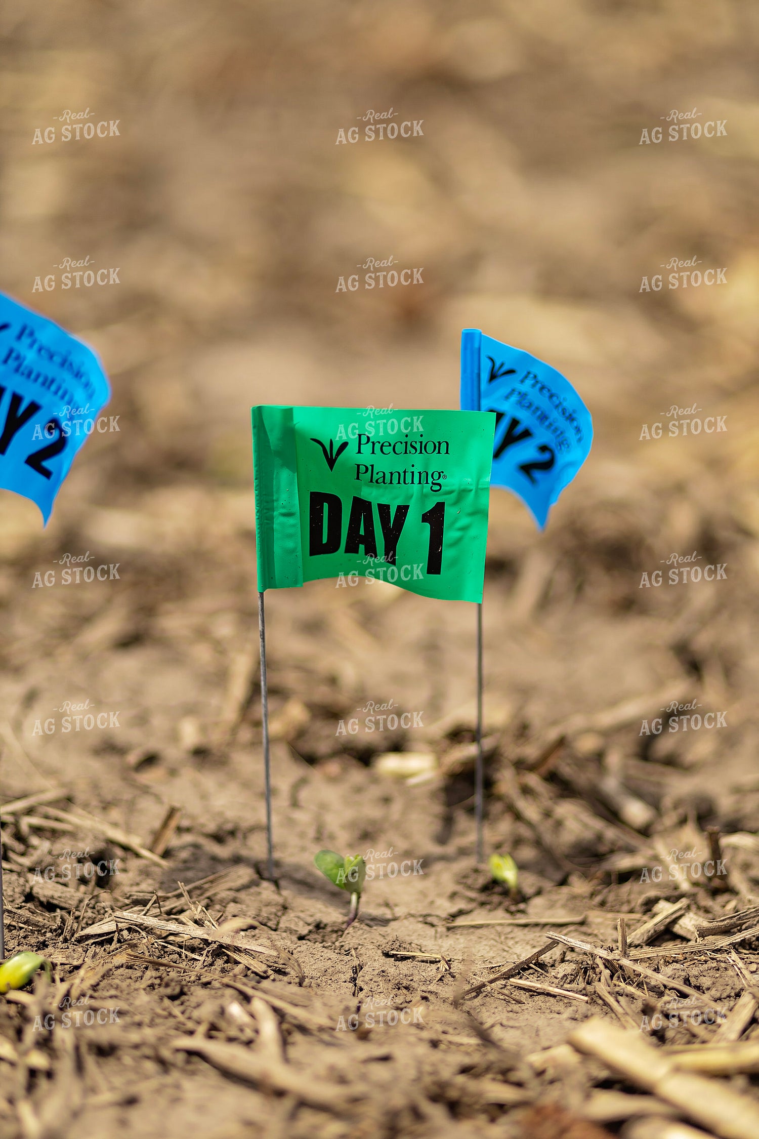 Precision Planting Emergence Flags 93320